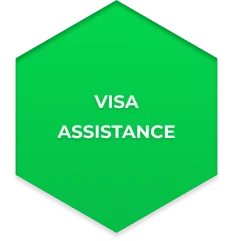 Visa Assistance Green